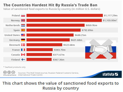 Country infograph